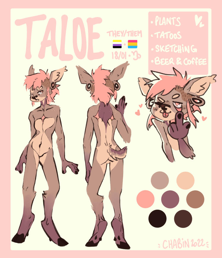 Taloe Taloe