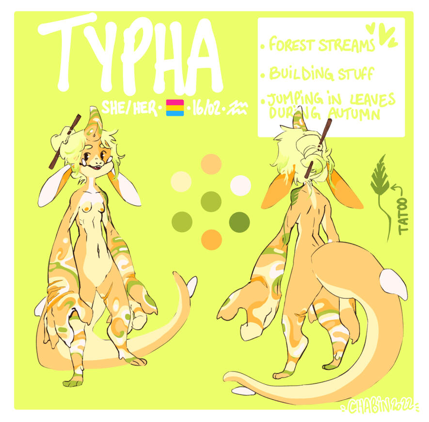 Typha Typha